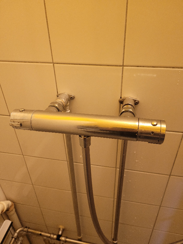 Udskiftning af brusearmatur på badeværelse og armatur til vask i køkken. Begge haves.