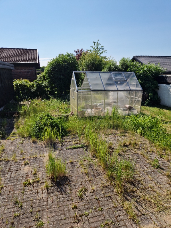 Havehjælp: Ukrudt og drivhusfjerning