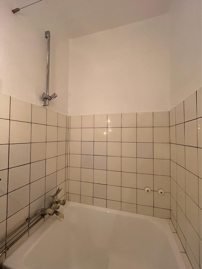 Skifte brusesæt (armatur + brusestang)