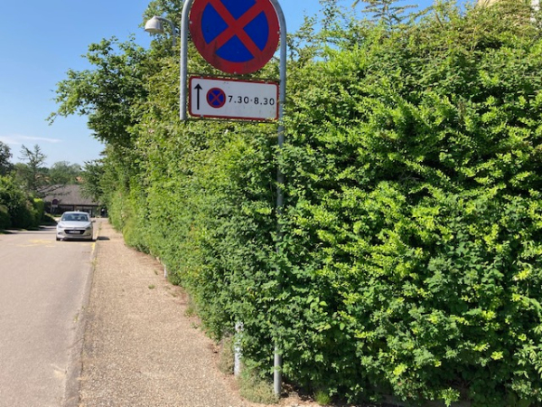 Beskæring af buske mod fortov