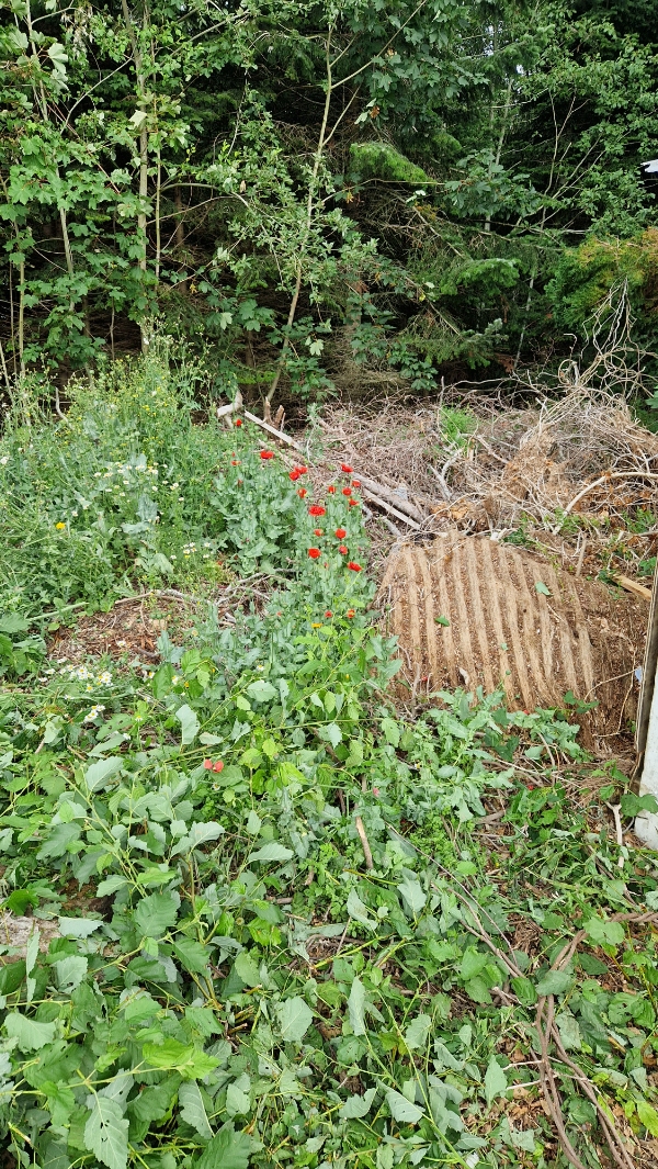 Vi skal have fjernet 3Bx6Lx1H (meter) stor bunke kompost + grene