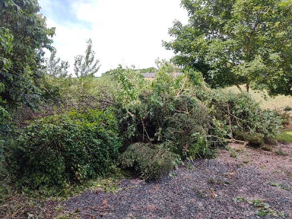 Afhentning af træaffald