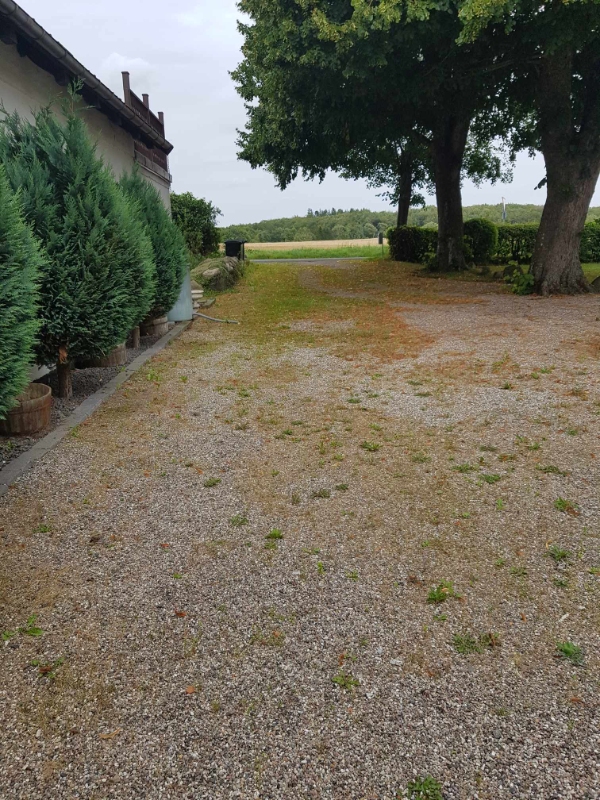 Fjerne ukrudt fra gårdsplads