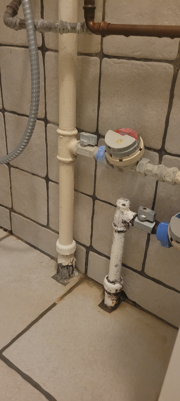 badeværelsesrør (bruser og vandrør til toilet) skal skiftes.