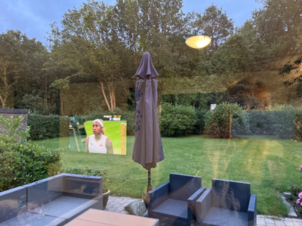 Hækklipning før 16. juli