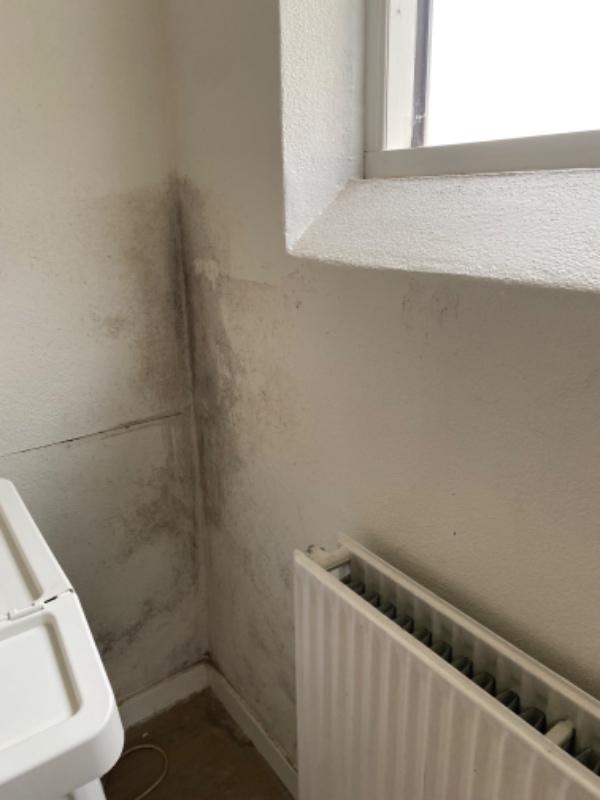 Pudsning af murværk hvor der har været fugt