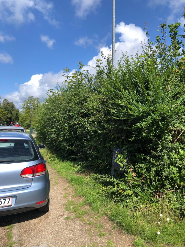 Hækken skal klippes