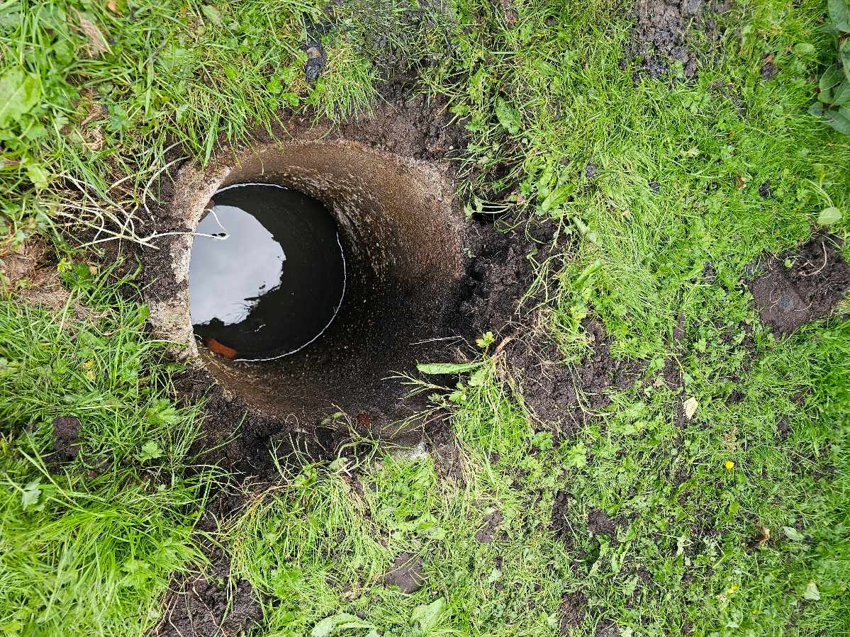 Bønddæksel genetablering