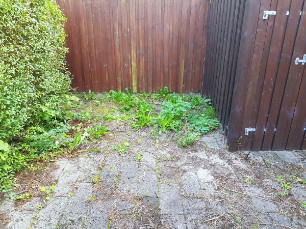 Luge ukrudt i lille baggård