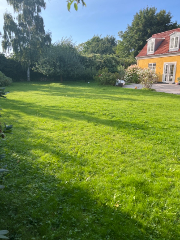 Slå græs og fjerne ukrudt 1000 m2 have