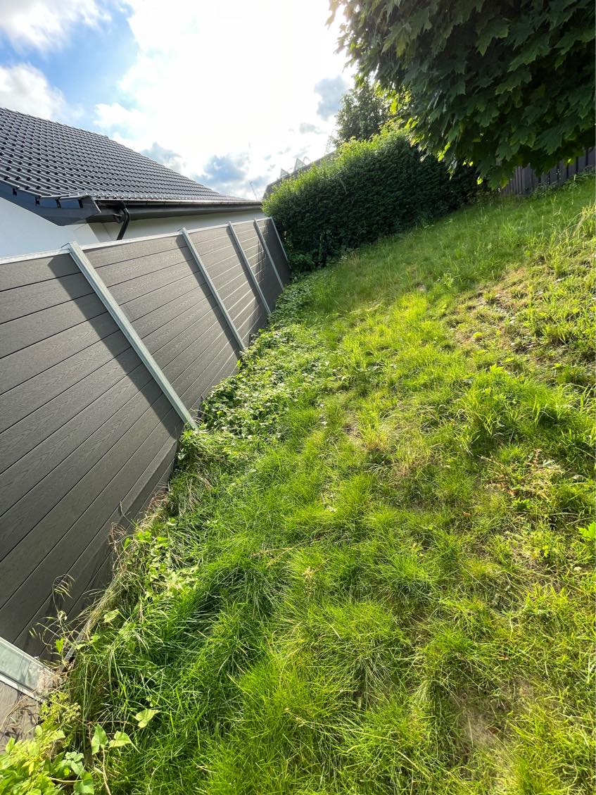 Ukrudtsfjernelse i forsømt have