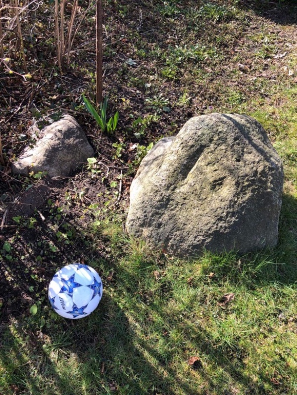 Fjernelse af store, tunge sten