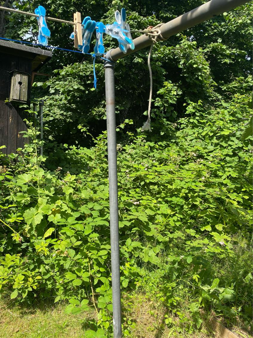 Fjernelse af bromærbusk og krat