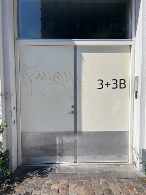 Stålskinne til gadedør samt male døren