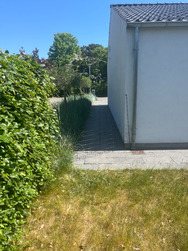 Udgravning til trampolin