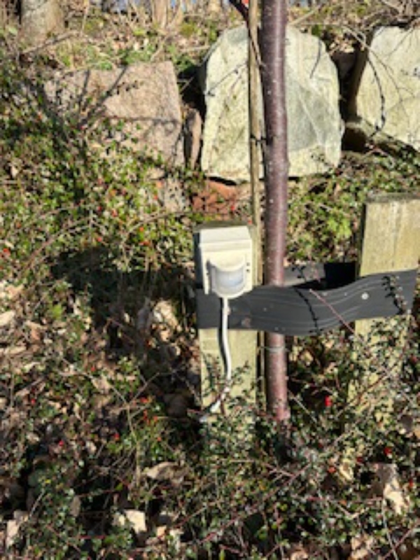 udskiftning af sensor + div. andre små opgaver