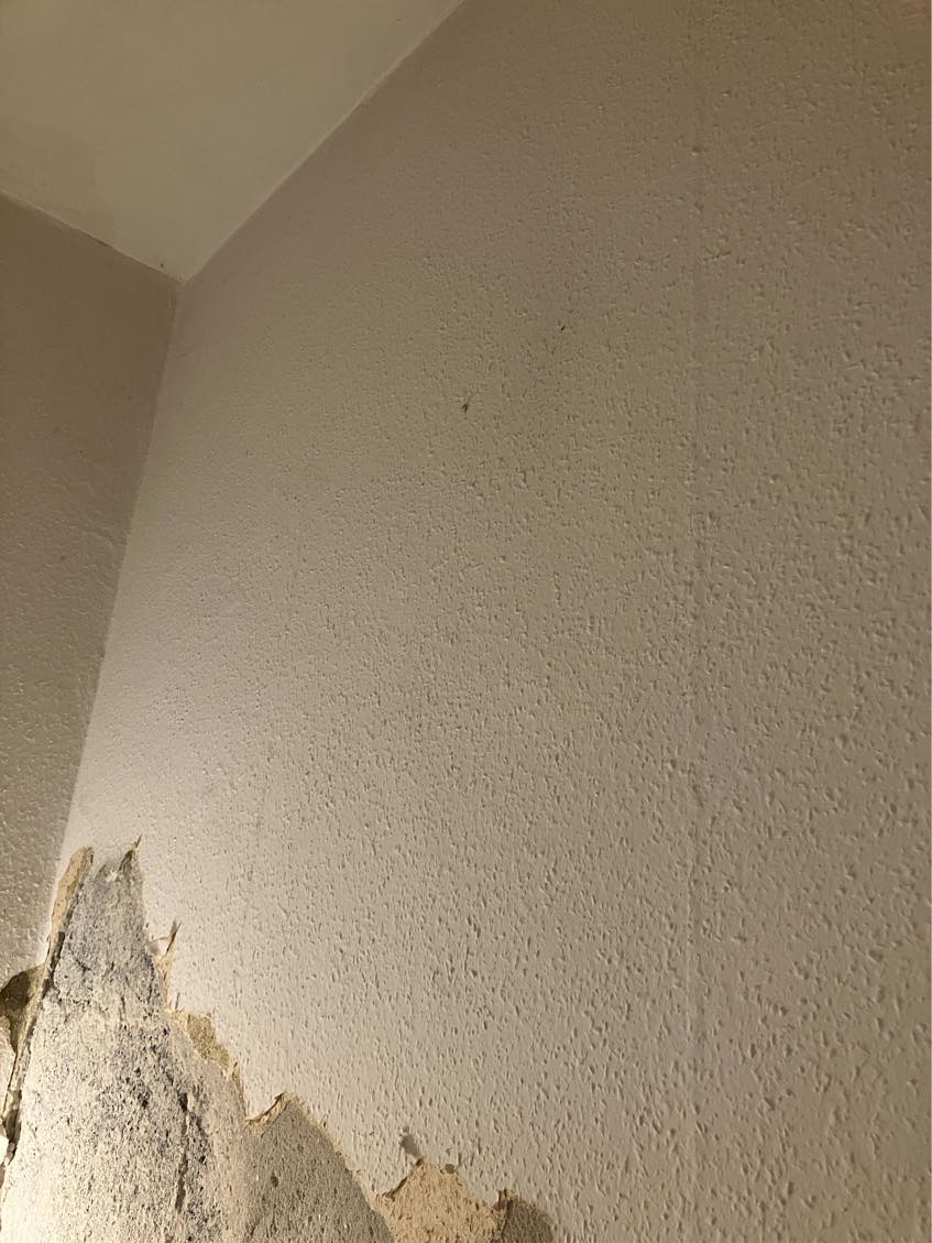 Renovering af kældernedgang