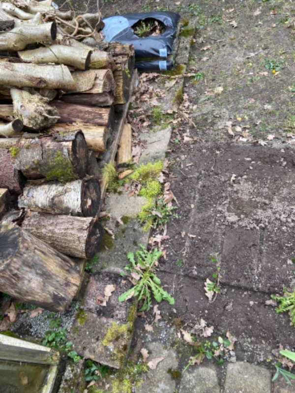 Lagt 16 stk 40 x 40 fliser