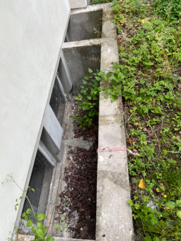 Haveoprydning og affaldskørsel