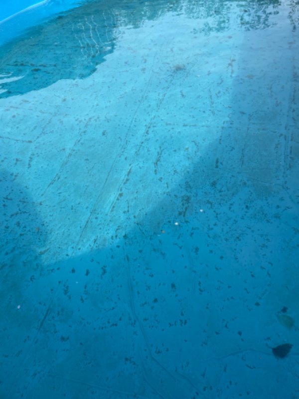 Rensning af pool bund