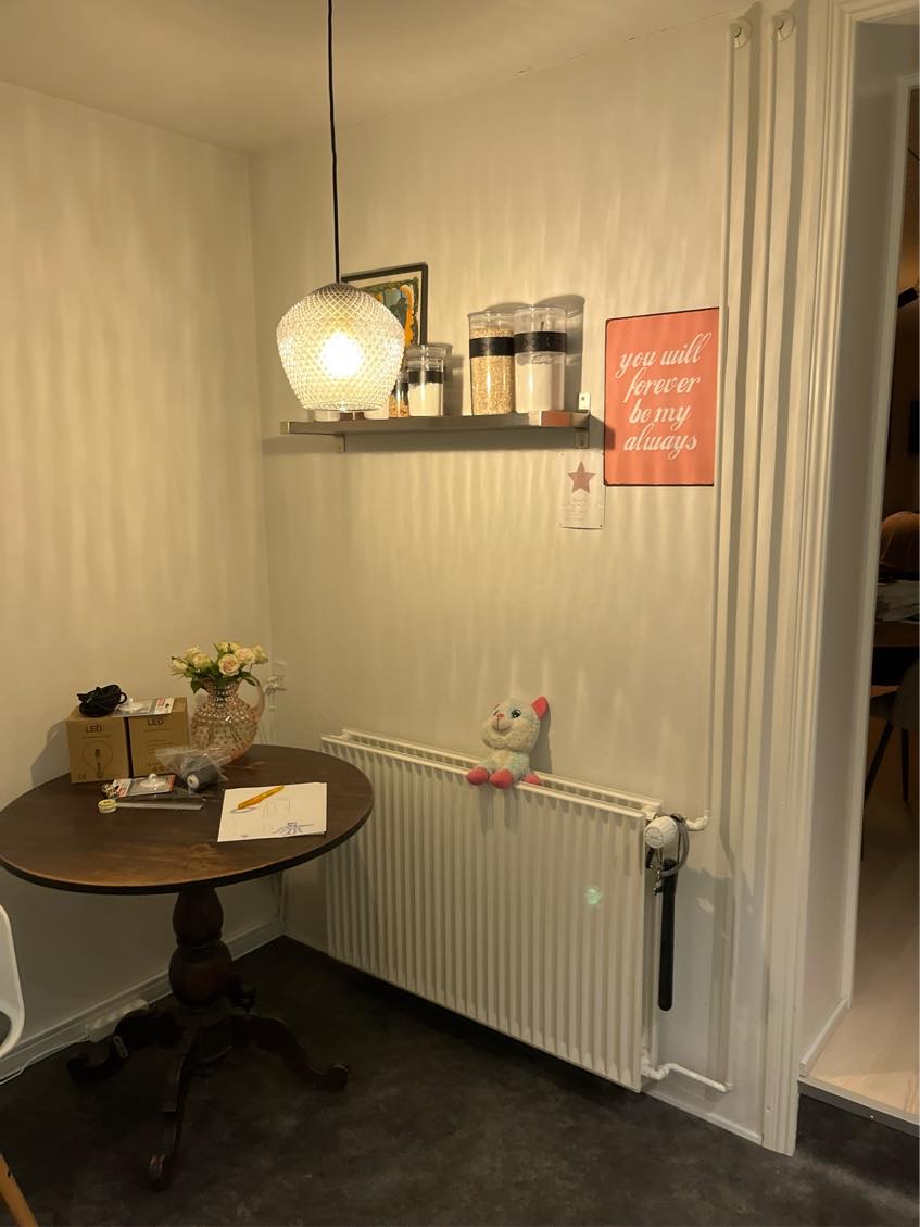 Fjernet 1stk.radiator og div. Rør