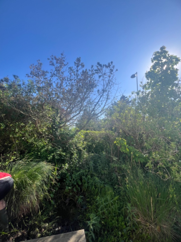 Havearbejde og fjernelse af sten