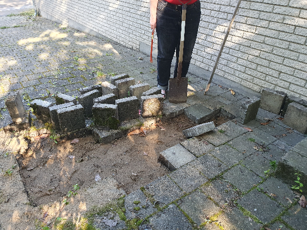 Gen-placering og let nivellering af flisesten