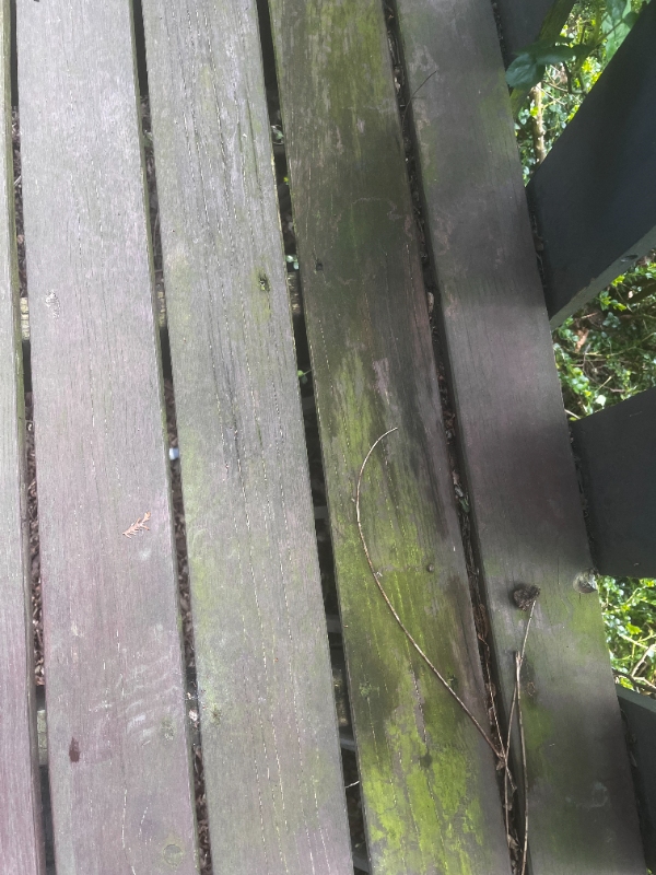 terrasserens og oliering