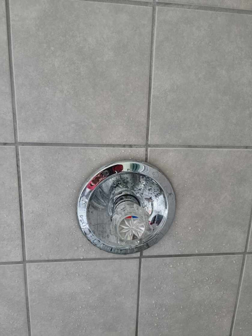 Udskiftning af brusehoved og håndtag