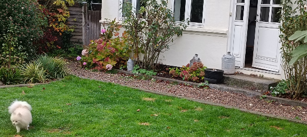 Fliser på gangsti og trailer parkering