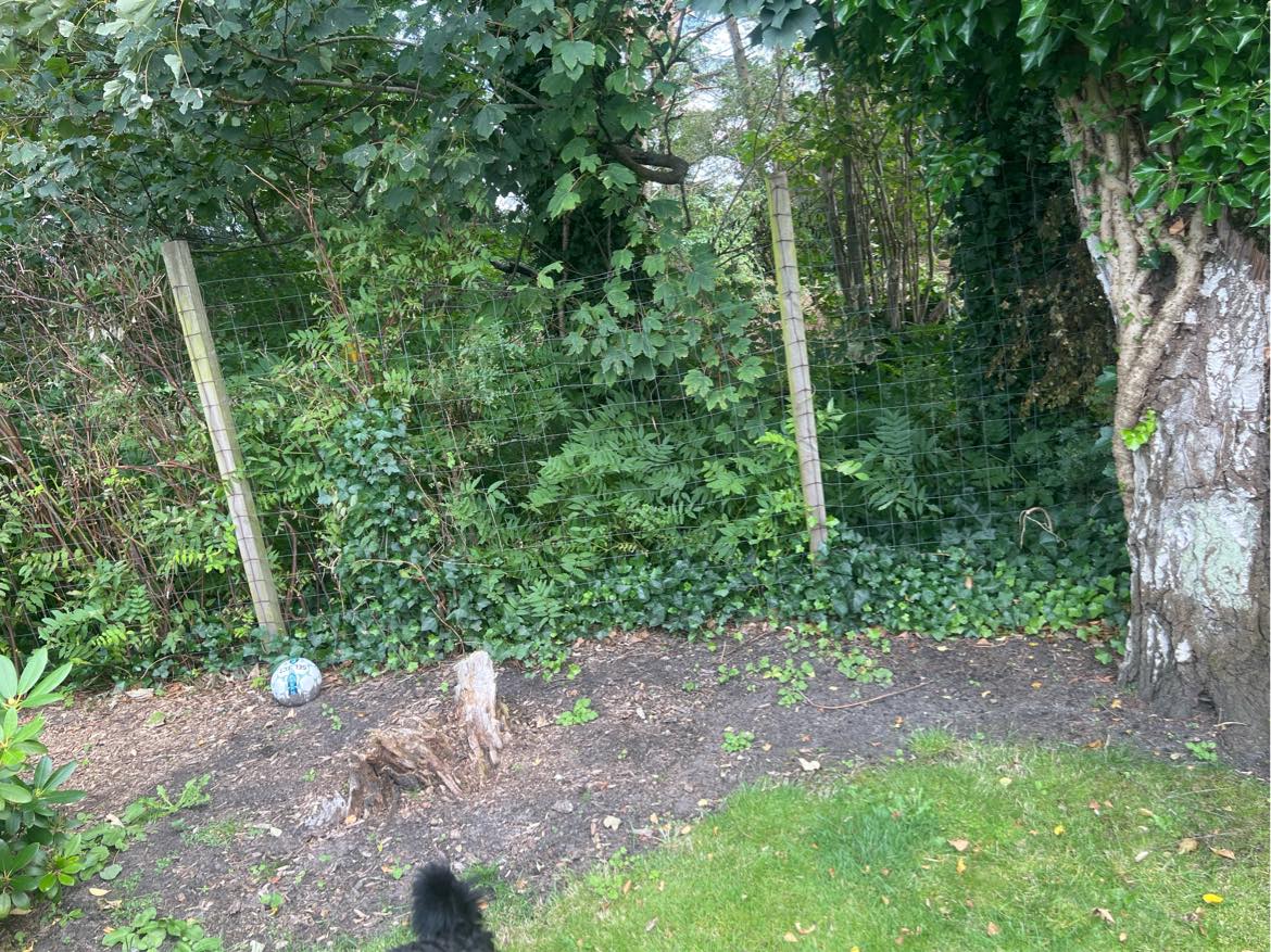 Havearbejde, fjerne ukrudt