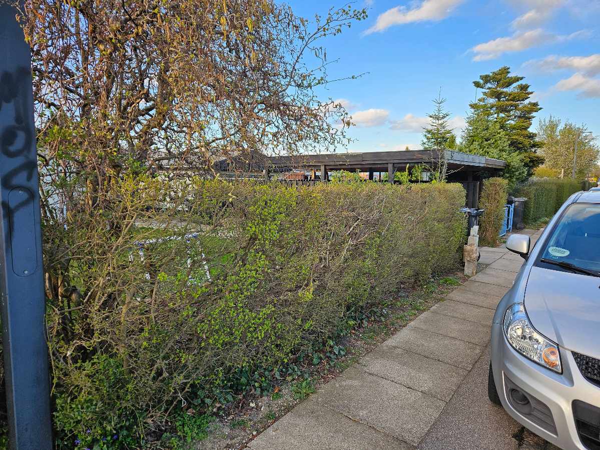 Opgraving og bortkørsel af hæk med tilhørende jord