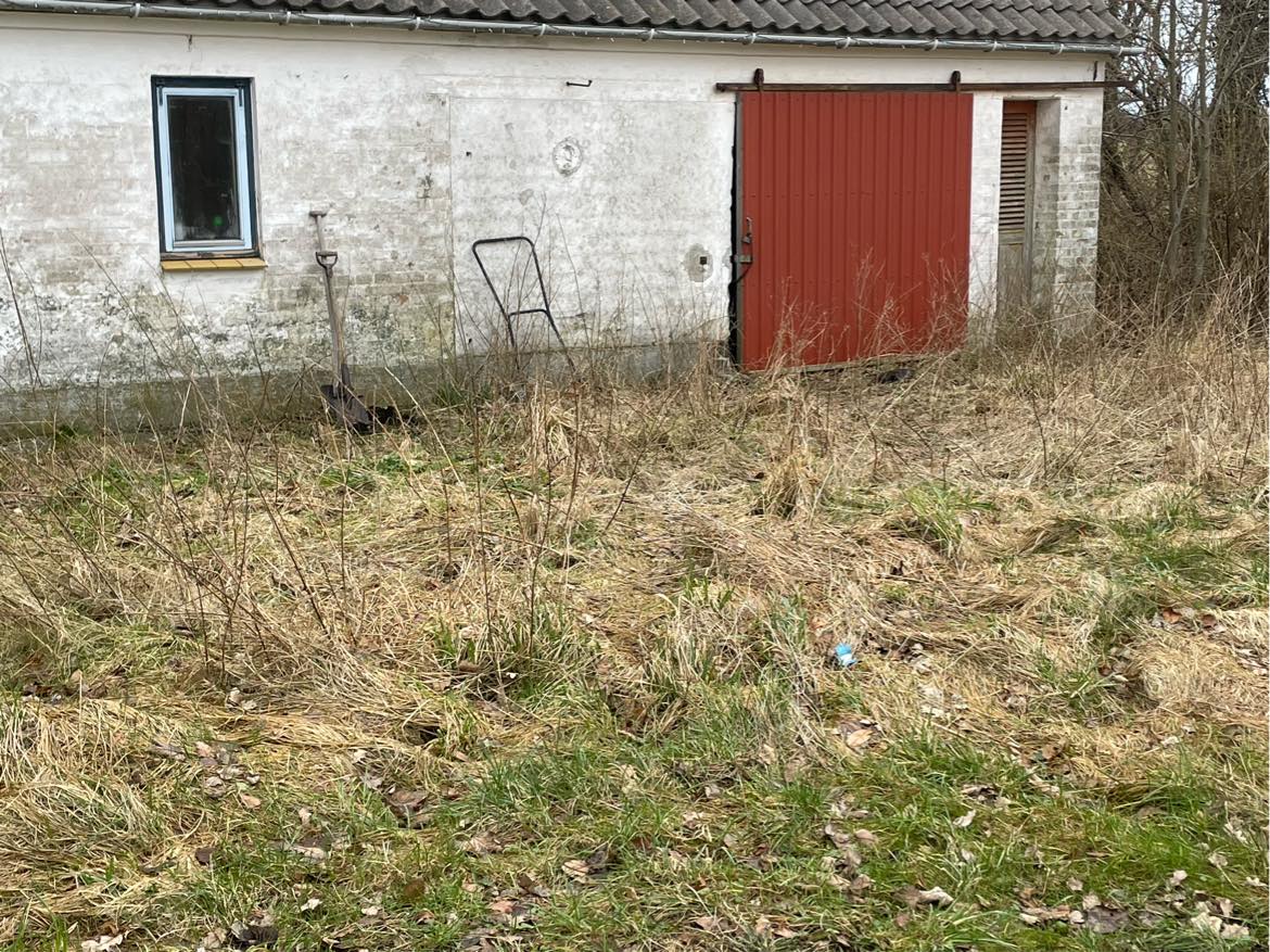 Klippet / beskåret tilgroet grund ifm salg