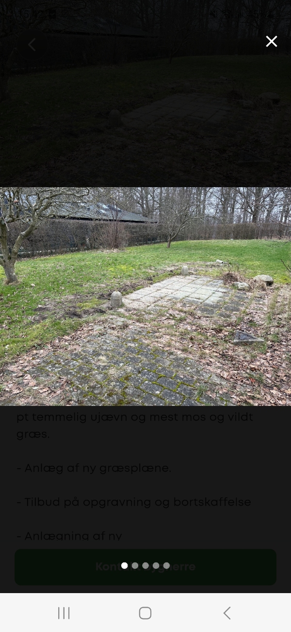 Genetablering af græsplæne