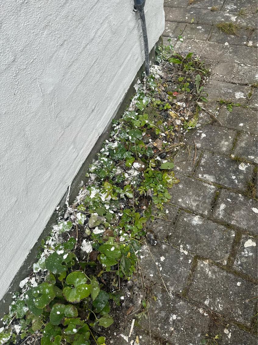 Grave sten og grønt op og køre det på genbrugspladsen