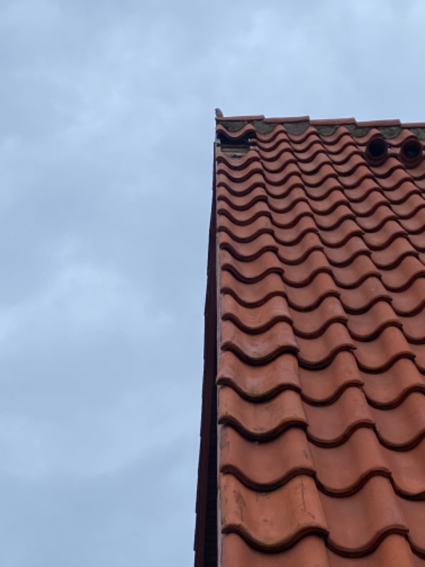 Montering af 2 tagsten efter storm. Har tagsten.