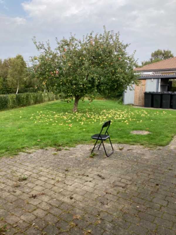 Beskæring af mindre æbletræ samt græsslåning