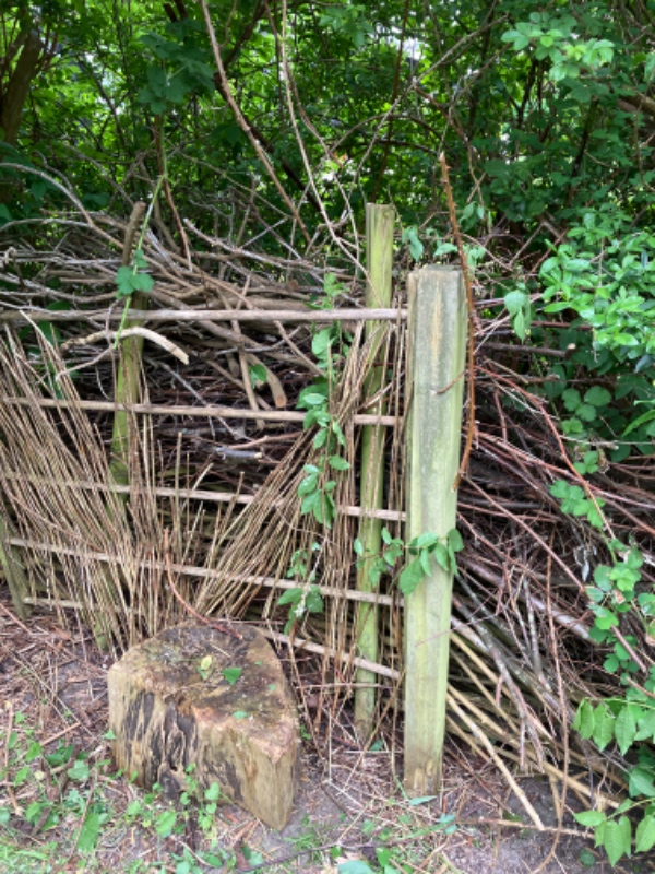 Fjernelse af haveaffald