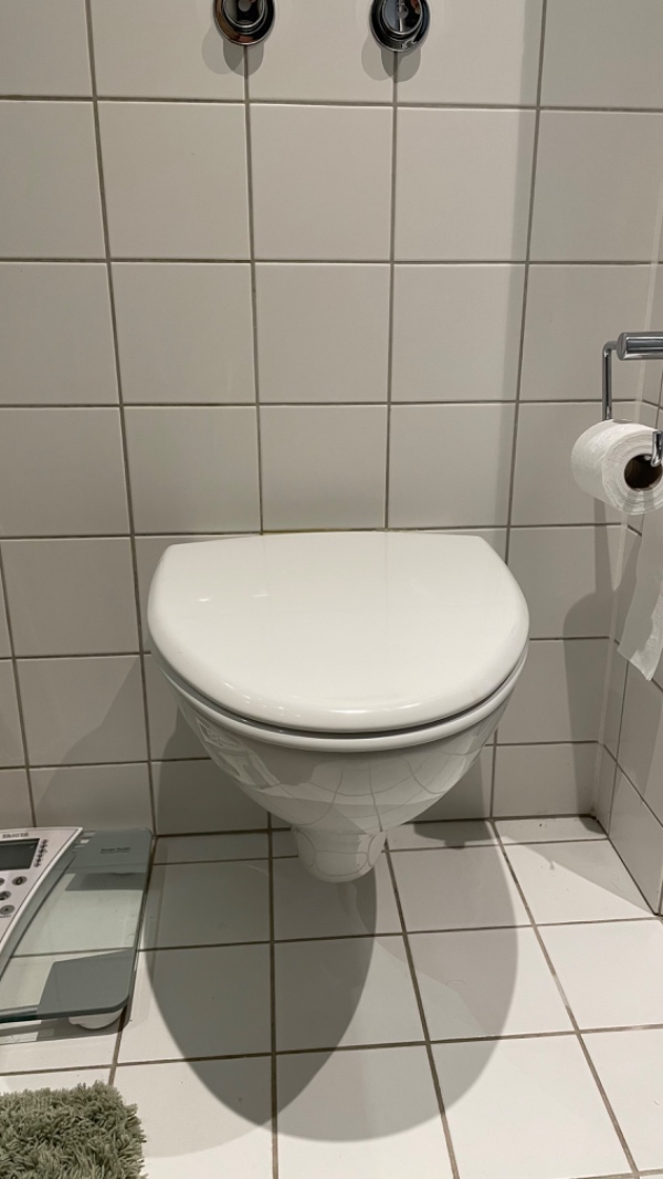 Installation af  nyt væghængt toilet.