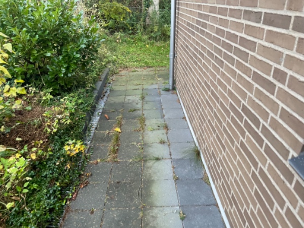 Hjælp til havepleje - ukrudt mellem fliser, i bede mv.