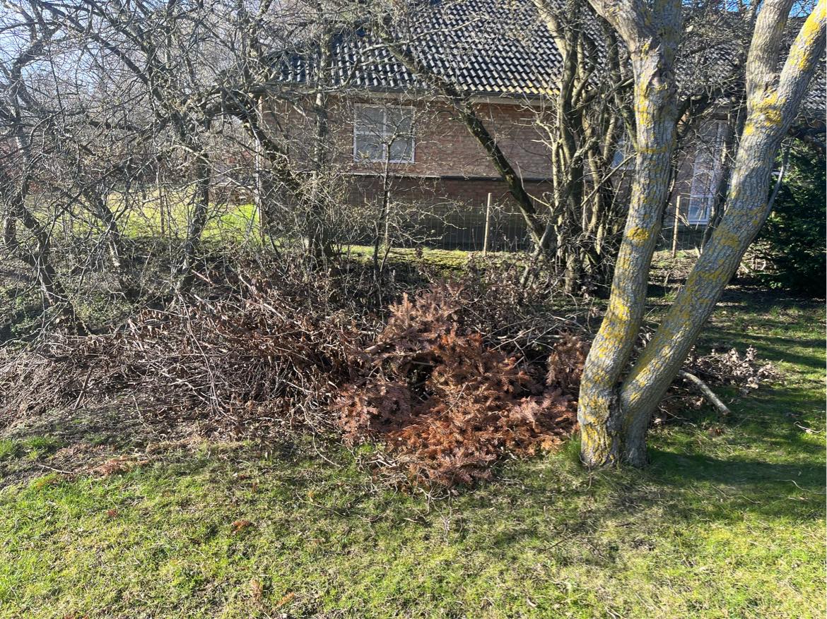 Bortskaffelse af storskrald