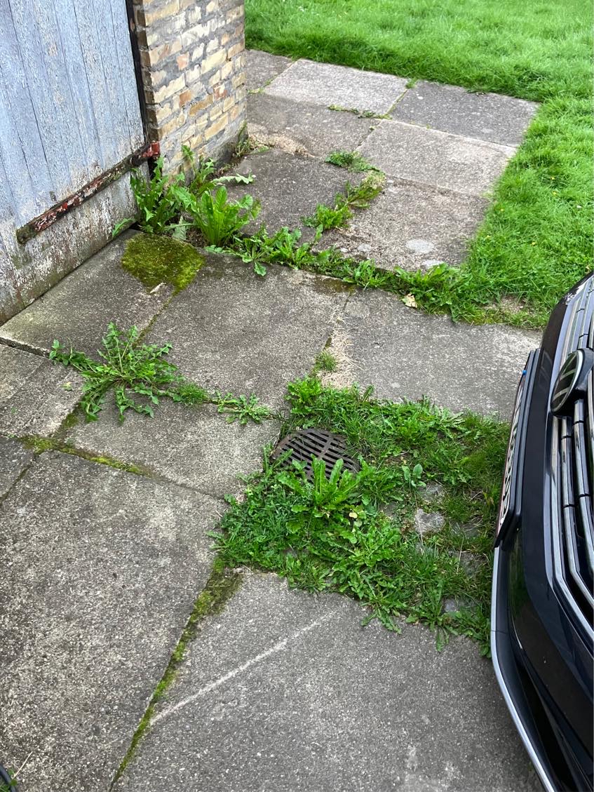 Fjerne ukrudt i hæk og indkørsel