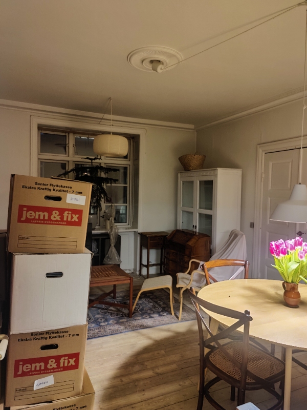 Malet loft og vægge i 2 stuer og entre