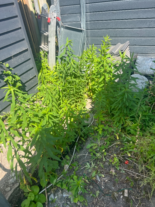 Gravet en rende på cirka 20 meter i frostfri dybde