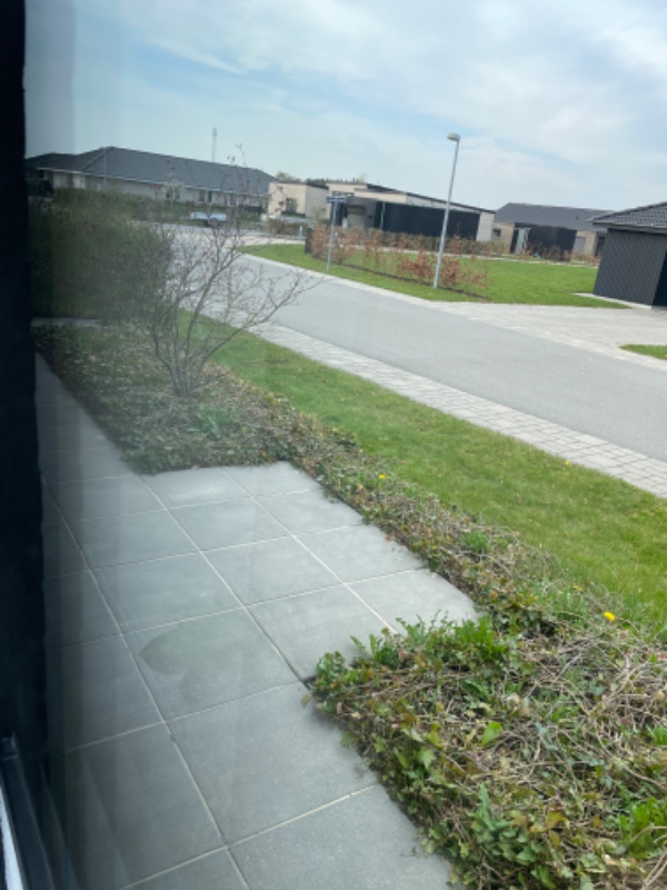 Fjerne ukrudt fra bede