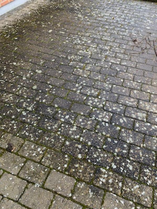 Fjernelse af flisepest