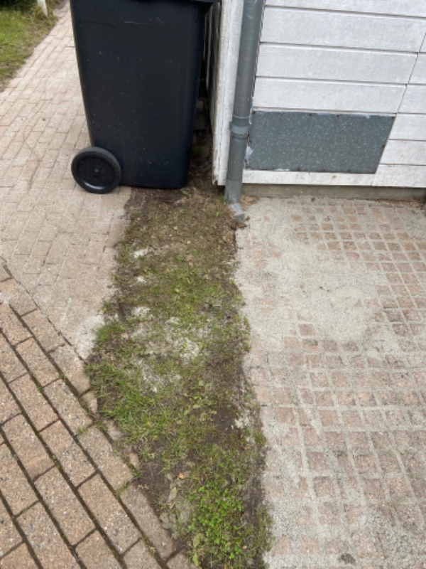 Fjernelse af gammelt græs