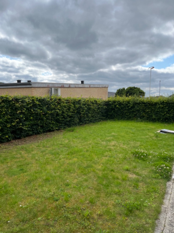 Græs slåning og klippe hæk