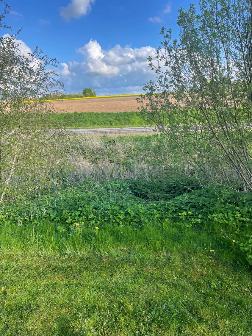 Udvidelse af have ned til åen