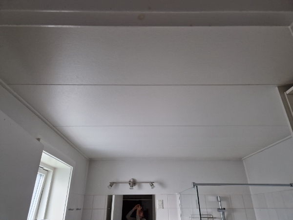 maling af lofter 51,4 m2 heraf er 5 m2 vådrum + en smule væg